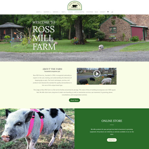 Ross Mill Farm